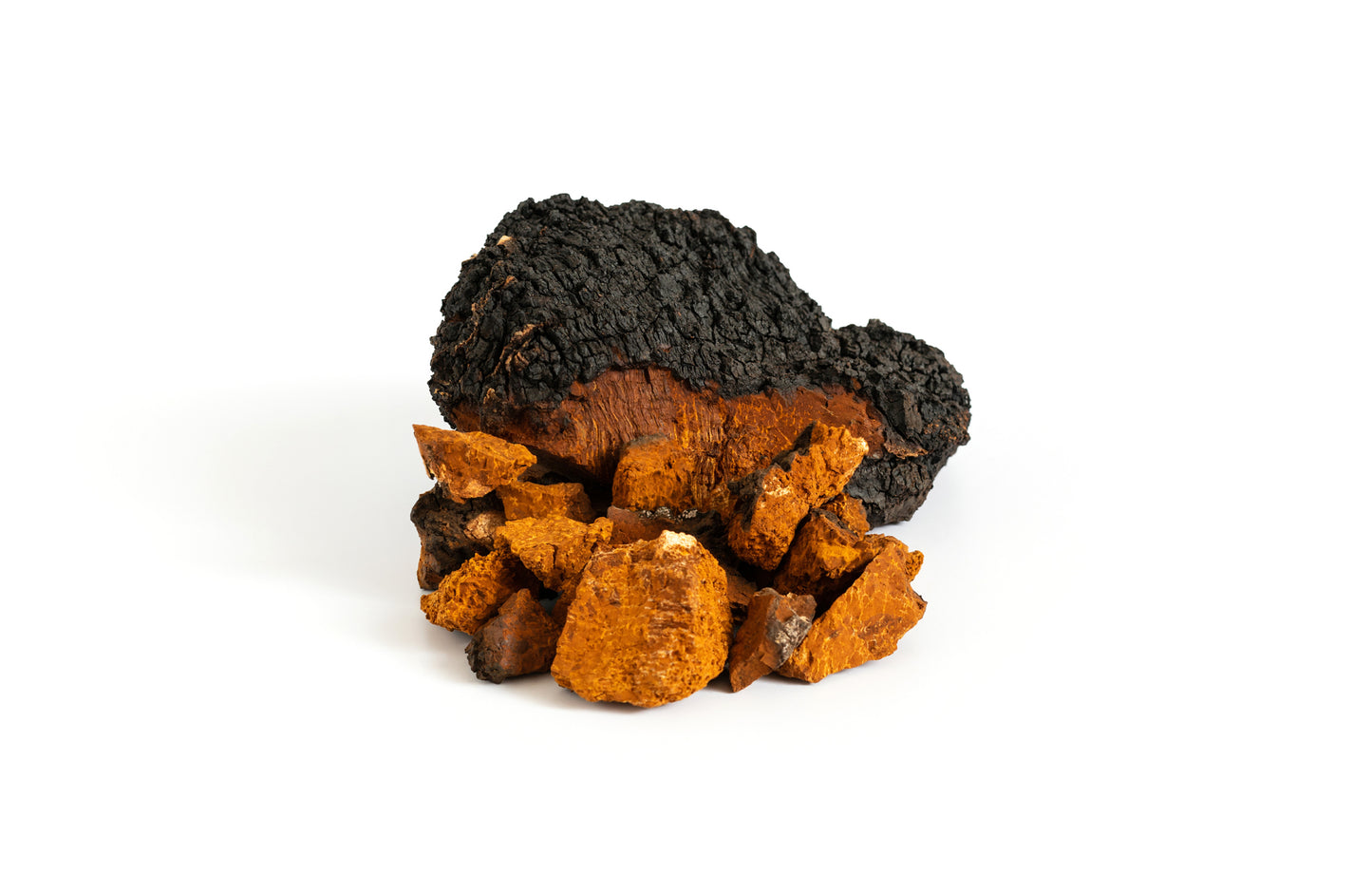 Chaga mushroom