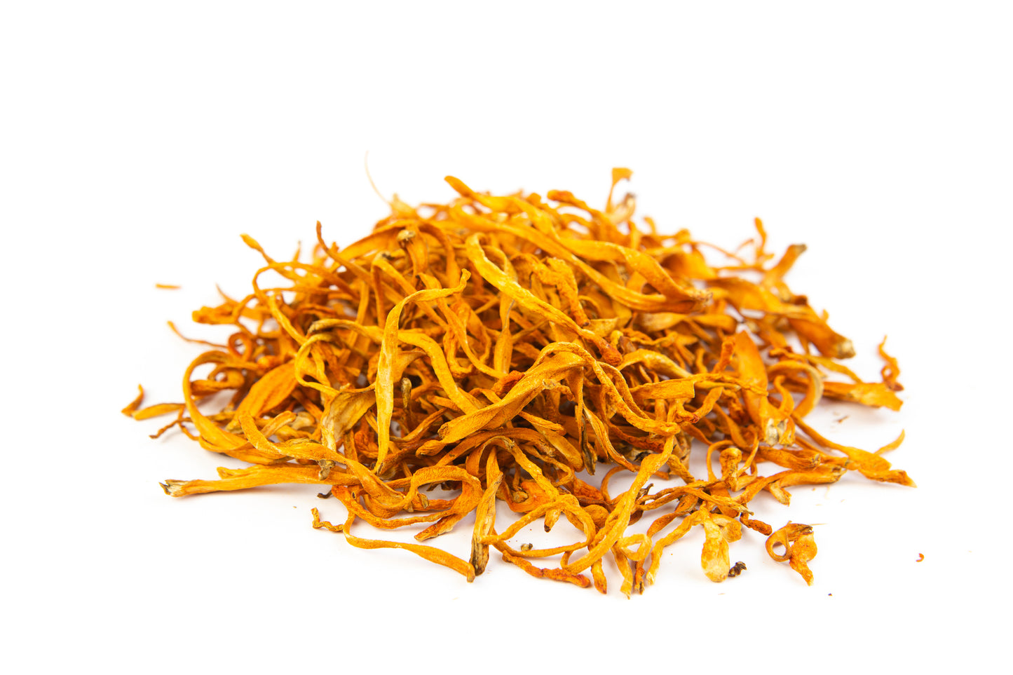 Energizer - Cordyceps